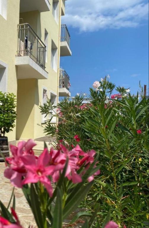 Byala Friendy Sea Apartaments エクステリア 写真